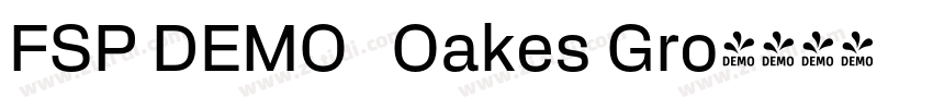 FSP DEMO   Oakes Gro字体转换